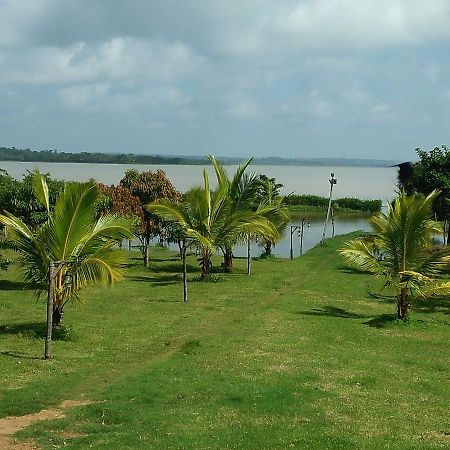 The Peepal Tree, Kabini Begur Luaran gambar