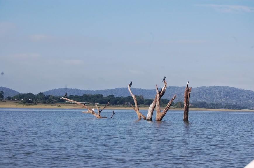 The Peepal Tree, Kabini Begur Luaran gambar