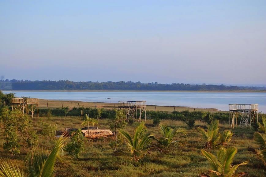 The Peepal Tree, Kabini Begur Luaran gambar