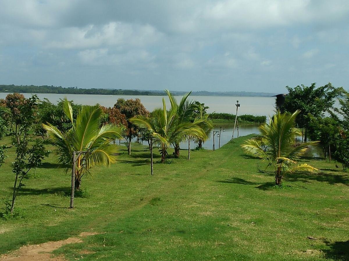 The Peepal Tree, Kabini Begur Luaran gambar