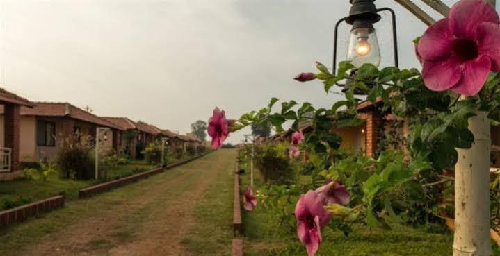 The Peepal Tree, Kabini Begur Luaran gambar